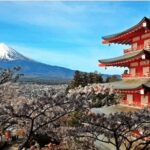 Mt Fuji Sightseeing Private tour with English Speaking Guide - Why This Tour Excels for Visitors