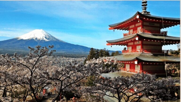 Mt Fuji Sightseeing Private tour with English Speaking Guide - Why This Tour Excels for Visitors