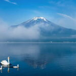 Mt Fuji Tour Customizable, fully Licenced Tour Operator - What to Expect on Your Day Out