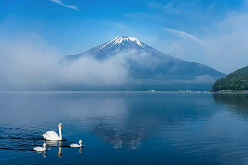 Mt Fuji Tour Customizable, fully Licenced Tour Operator - What to Expect on Your Day Out