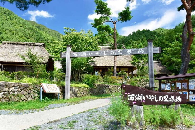 Mt Fuji Tour: Lake Kawaguchi, Shrine,Healing Village &Pagoda - Transport, Timing & Group Dynamics