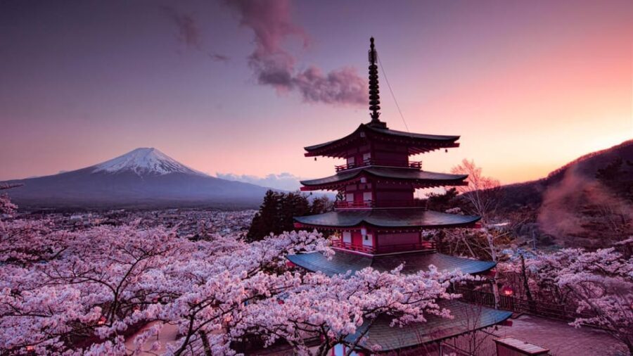Mt Fuji Tour With Experienced English Driver - Practical Tips for Your Mount Fuji Tour