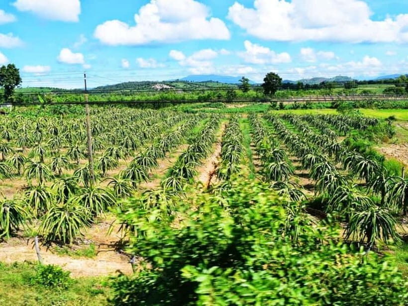 Mui Ne 48 Hours: Sunset Dunes, Scenic Train & Fresh Seafood - Why This Tour Provides Excellent Value