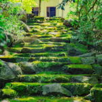 Mui Ne Sand Dunes Quad Bike Atv And Vung Tau City 2 Day Tour - The Sum Up: Is This Tour Right for You?