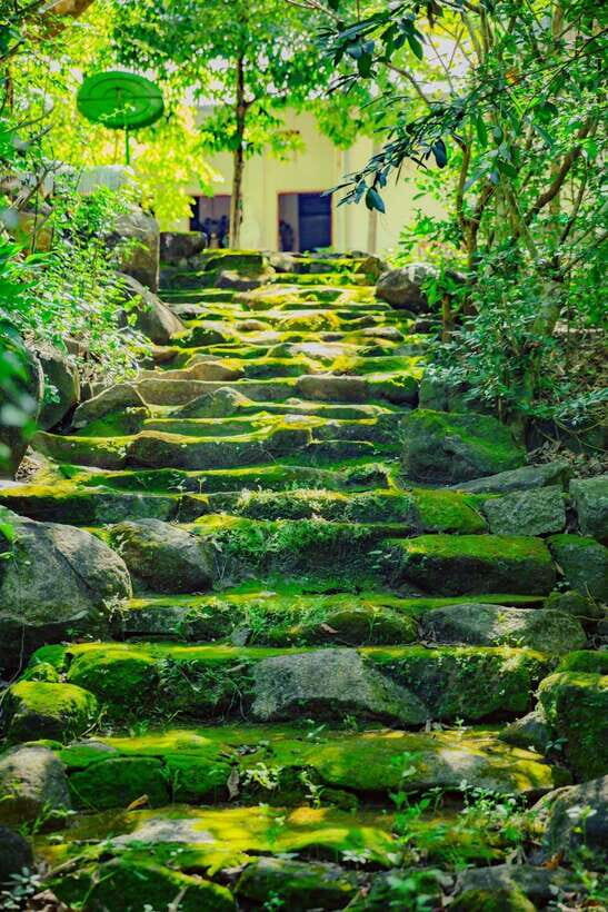 Mui Ne Sand Dunes Quad Bike Atv And Vung Tau City 2 Day Tour - The Sum Up: Is This Tour Right for You?