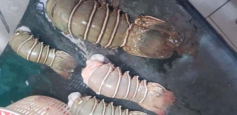 Mumbai Coastal Cooking: From Fishing Net to Flavourful Plate - Who Will Love This Tour?