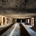 Mumbai: Kanheri Caves Guided Tour - Final Thoughts