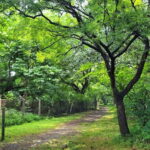 Mumbai: Maharashtra Nature Park Guided Nature Trail - Practical Details and Tips