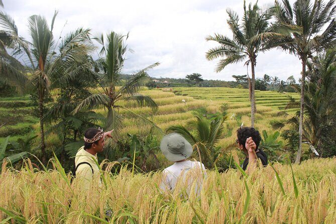 Munduk Private Customized Highlights Tour - What Makes This Tour Stand Out?