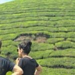 Munnar: Anakulam Jeep Safari to Explore Wild Elephants - Why This Tour Works for Travelers