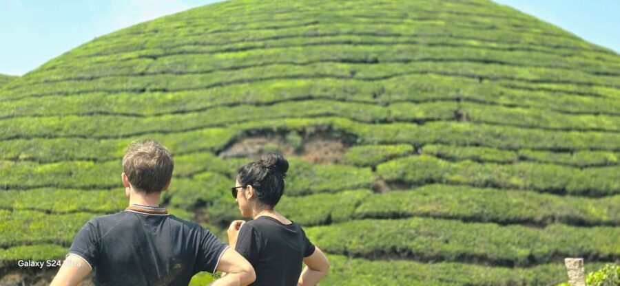 Munnar: Anakulam Jeep Safari to Explore Wild Elephants - Why This Tour Works for Travelers