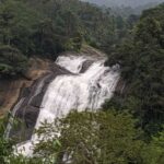 Munnar: Tea Garden and Elephant Safari Trip by 4x4 - How the Day Unfolds