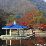Naejangsan National Park Autumn Foliage One Day Tour from Busan - Pricing and Value