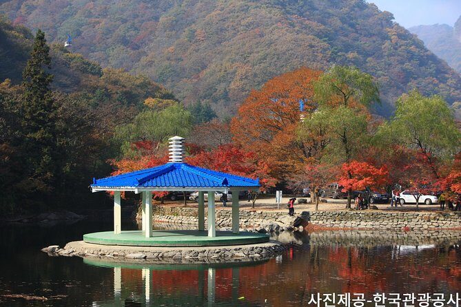 Naejangsan National Park Autumn Foliage One Day Tour from Busan - Pricing and Value