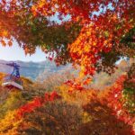 Naejangsan National Park Autumn Foliage One Day Tour from Seoul - Real Traveler Experiences and Tips