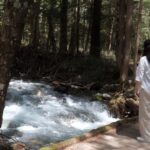 Nagano Autumn special: Kamikochi & Wasabi Farm & Winery - The Itinerary in Detail