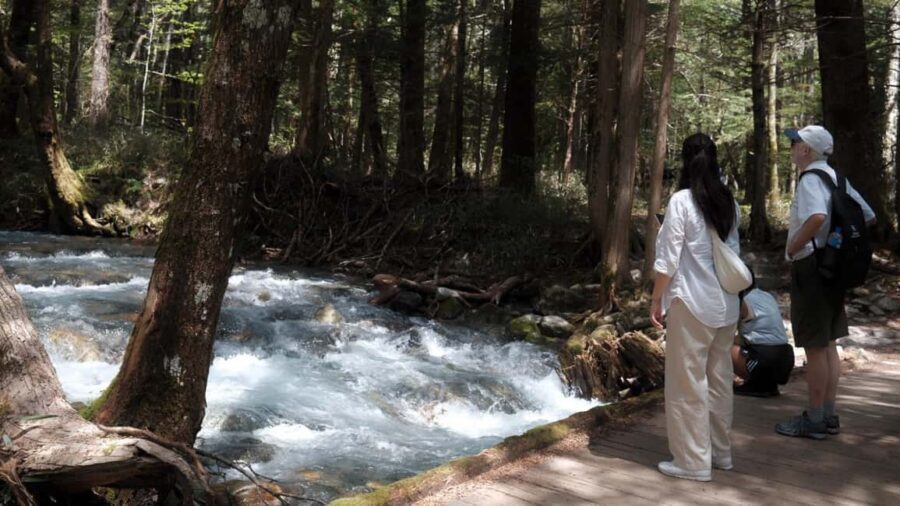 Nagano Autumn special: Kamikochi & Wasabi Farm & Winery - The Itinerary in Detail