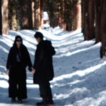 Nagano: Half-Day Private Tour Togakushi Shrine - A Detailed Look at the Itinerary