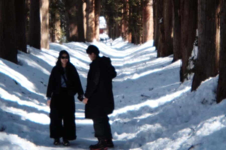 Nagano: Half-Day Private Tour Togakushi Shrine - A Detailed Look at the Itinerary