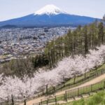 Nagano Private Day Trip, zenkoji temple with Guide&Pickup - An Authentic Day in Nagano: What to Expect