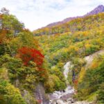 Nagano: Private Walking Tour with a Local - Pricing & Value