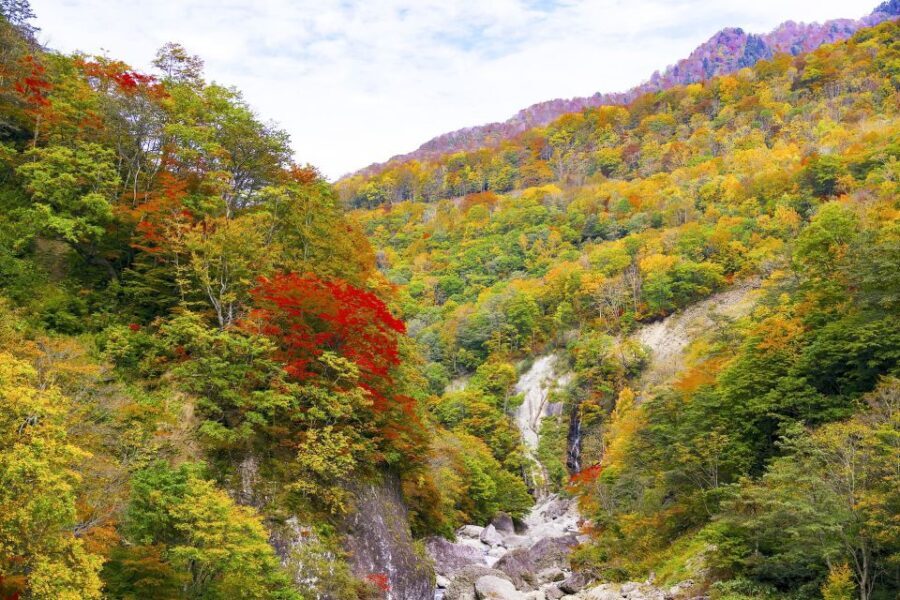 Nagano: Private Walking Tour with a Local - Pricing & Value