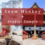 Nagano: Snow Monkeys, Sake Tasting & Zenkoji Private Tour - Sake Tasting at a Historic Brewery