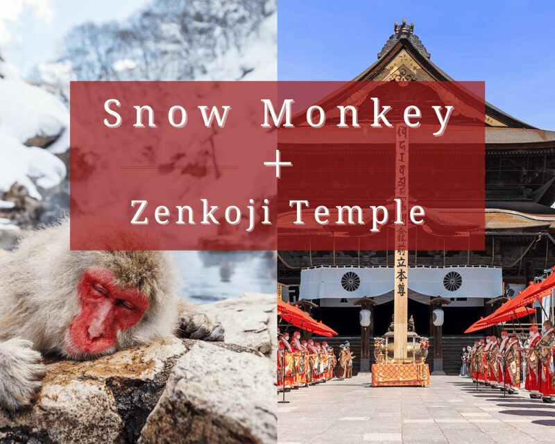 Nagano: Snow Monkeys, Sake Tasting & Zenkoji Private Tour - Sake Tasting at a Historic Brewery