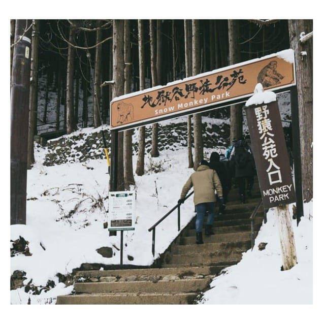 Nagano Tokyo: Snow Monkey Private Day Tour Hotel Pick & Drop - Why This Tour Offers Excellent Value