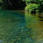 Nagano UNESCO Park: Emerald Acid Lake & Ghibli Onsen Town - Who Will Love This Tour?