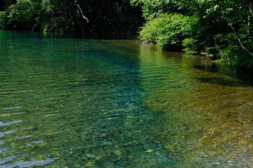 Nagano UNESCO Park: Emerald Acid Lake & Ghibli Onsen Town - Who Will Love This Tour?