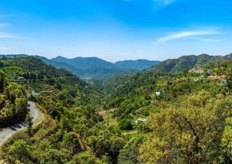 Nainital Nature Trekking Experience (4 Hours Experience) - Why You’ll Love This Experience