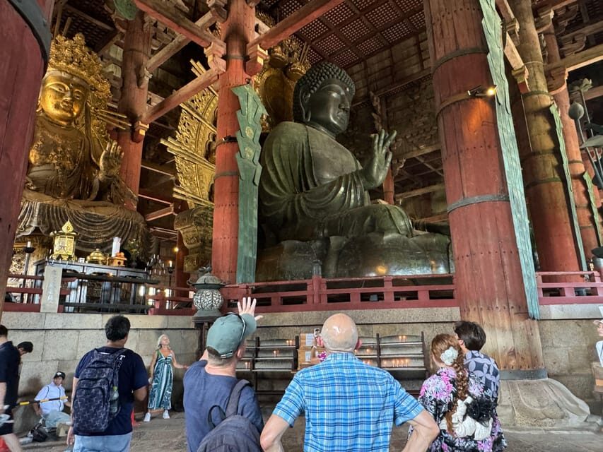 Nara: 3-Hour Guided Tour with Deer, Great Buddha & Shrines - Why This Tour Works Well