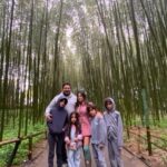 Nara and Kyoto Tour - Overview of the Experience