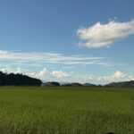 Nara: Asuka, Ancient Capital & Future Heritage Private Tour - FAQs