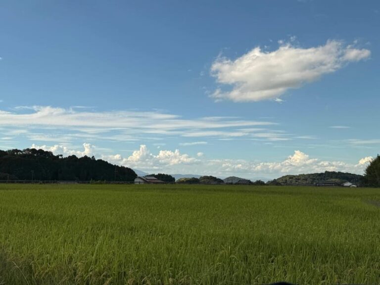 Nara: Asuka, Ancient Capital & Future Heritage Private Tour - FAQs