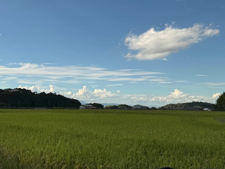 Nara: Asuka, Ancient Capital & Future Heritage Private Tour - FAQs