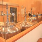 Nara - Craft Beer, Sake, and Food Walking Tour - A Deep Dive into What the Tour Offers