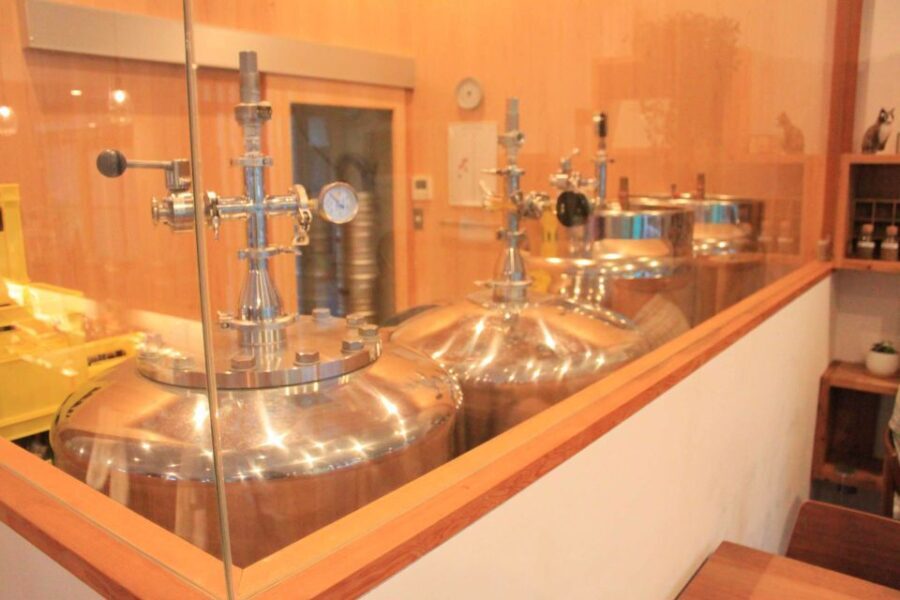 Nara - Craft Beer, Sake, and Food Walking Tour - A Deep Dive into What the Tour Offers