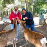 Nara: Kasuga Taisha, Sacred Deer Shrine Guided Tour - Who Should Consider This Tour?