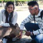 Nara: Private Walking Tour from Osaka - Exploring Nara on a Private Guided Footstep