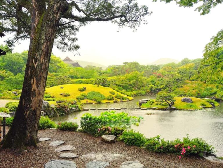 Nara: Yoshikien and Isuien Gardens Tour with Tea Tasting - The Itinerary in Detail