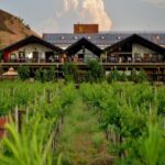 Nashik: Private Full-Day Wine Tour with Tastings From Mumbai - Who Is This Tour Best For?