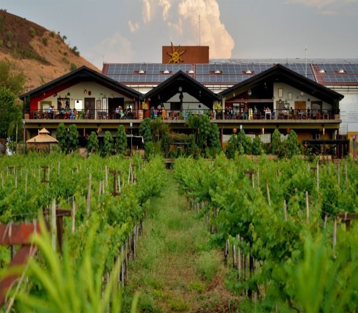 Nashik: Private Full-Day Wine Tour with Tastings From Mumbai - Who Is This Tour Best For?