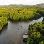 Negombo: Guided Kayaking Tour in the Lagoon - The Value Proposition