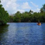 Negombo: Kayaking in the Lagoon - Comparing to Similar Experiences