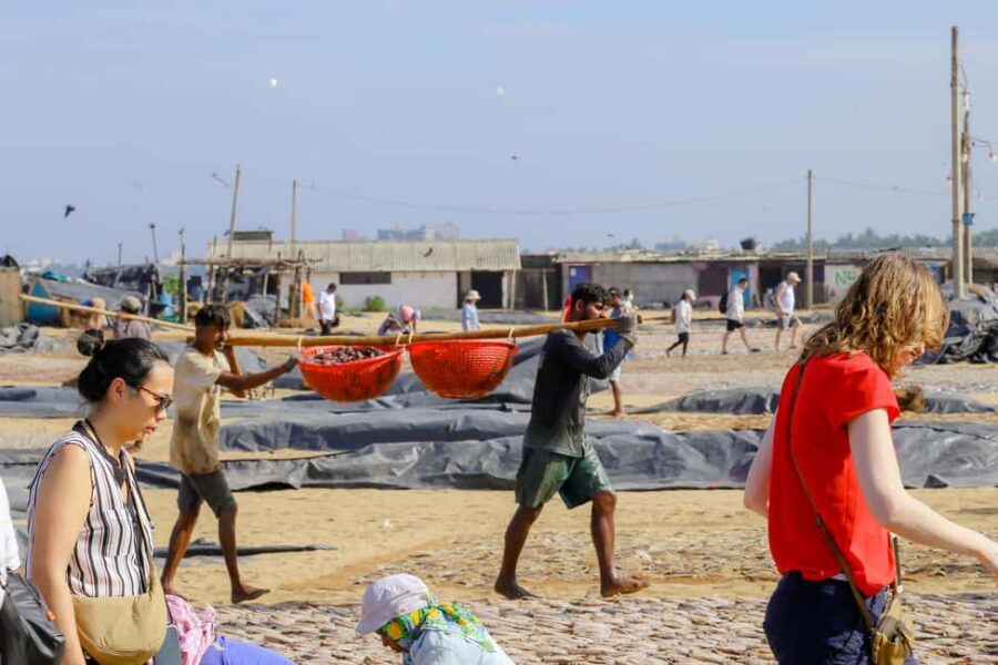 Negombo: private half day city tour with hotel transfers - The Practical Details