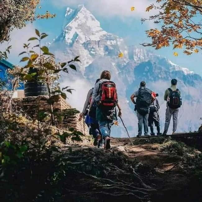 Nepal: Small Group 4-day Mardi Himal Trekking - Practical Tips & Considerations