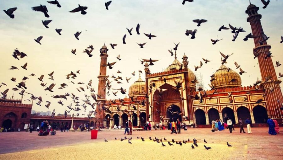 New Delhi: Akshardham Temple Tour with Water and Light Show - Final Thoughts