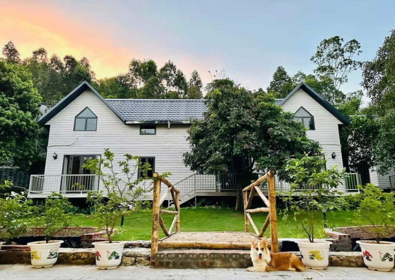 Ngoc Vung to A La Carte Ha Long  3D2N of Pure Bliss - Final Thoughts